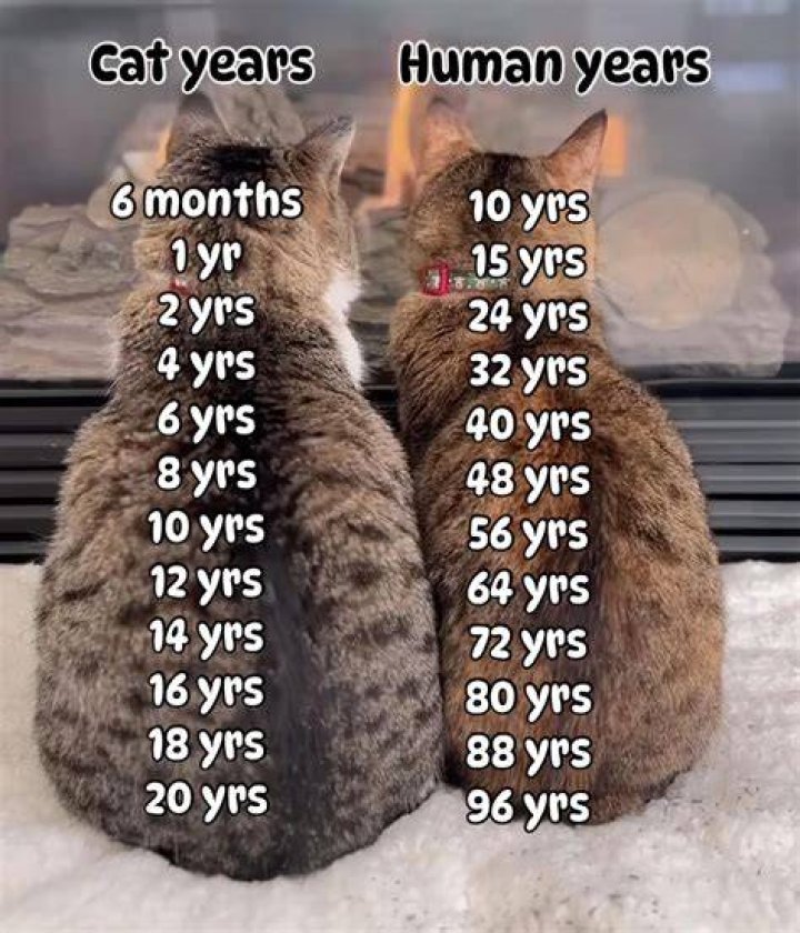 Avaryana Rose Age, How Old Is The American Model? Here’s What We Know
