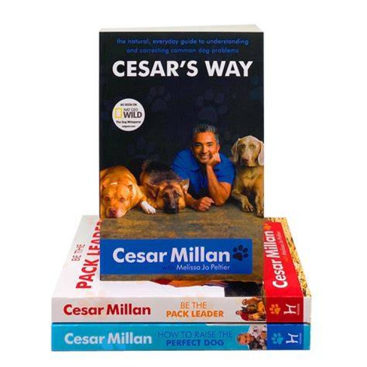 Cesar Millan’s biography, fact, career, awards, net worth & life story