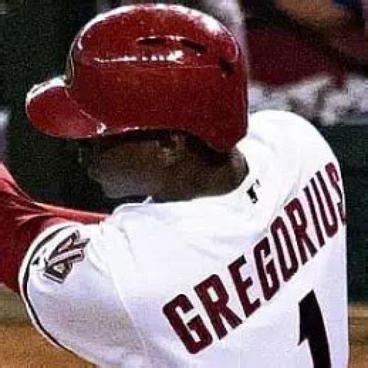 Didi Gregorius Net Worth