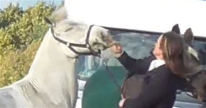 Does Sarah Moulds Have A Husband? Primary Teacher Is Accused of Kicking A Horse