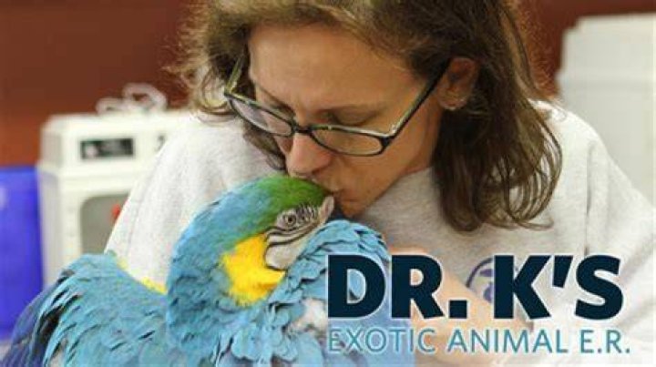 Dr. K Bio, Family, Career, Husband, Heritage, Exotic Animal ER