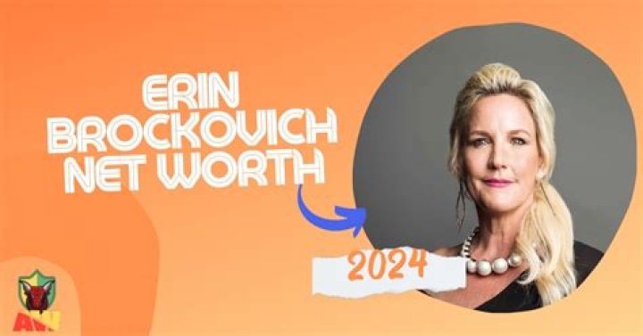 Erin Brockovich Net Worth, Income, Salary, Earnings, Biography