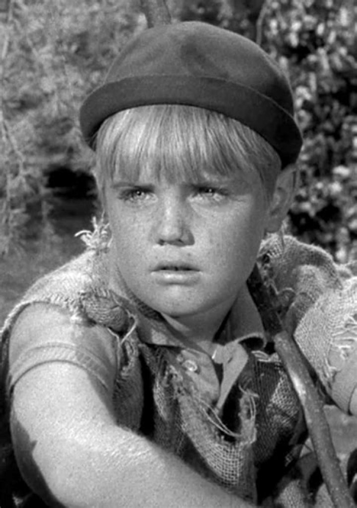 Hank Harris Bio, Age, Wife, Net Worth, Wiki, Kids, Movies, Pumpkin and Height