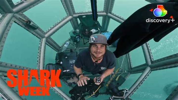 How Old Is Dickie Chivell? Shark Week Discusses White Sharks in Shark House
