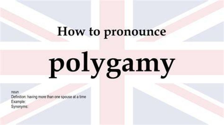 How to pronounce polygamy