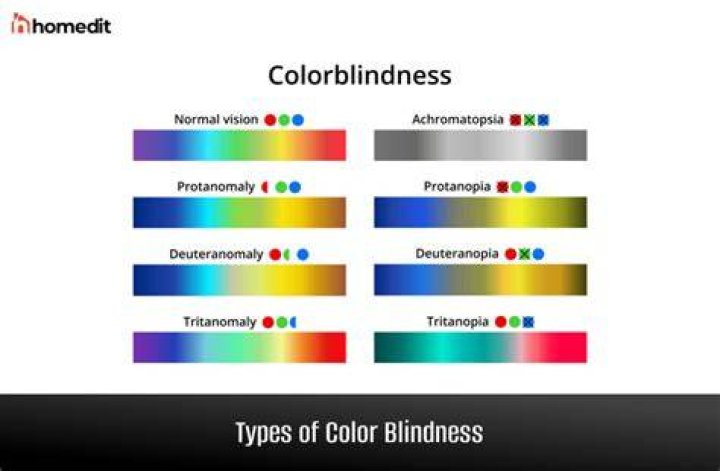 Is Awesamdude Colorblind? Real Name And Birthday Revealed