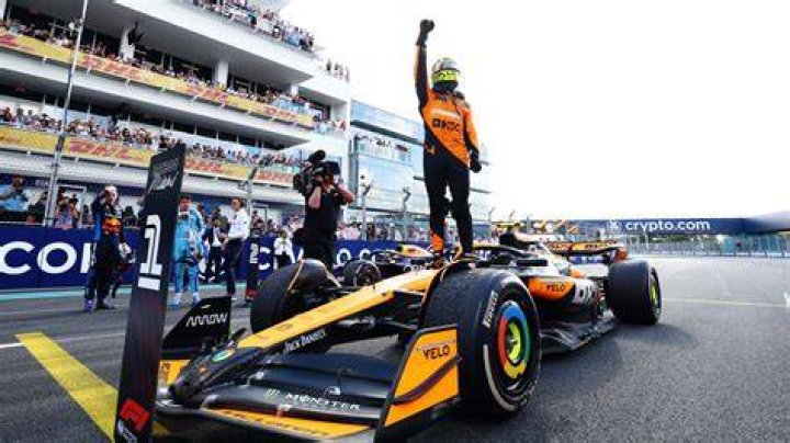 Is Lando Norris Dyslexic? Illness And Health 2023