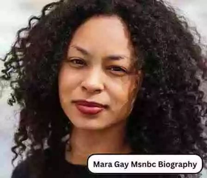 MSNBC: Mara Gay Journalist Wikipedia and Biography, Parents and Husband Details To Follow