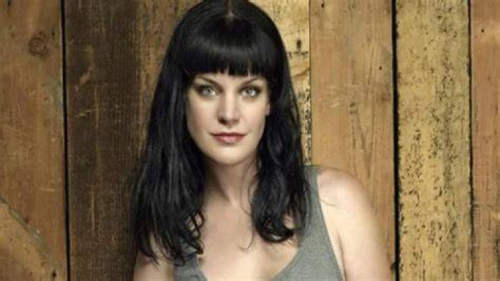 Pauley Perrette Bio, Wiki, Age, Height, Husband, Actress, Movies and Net Worth