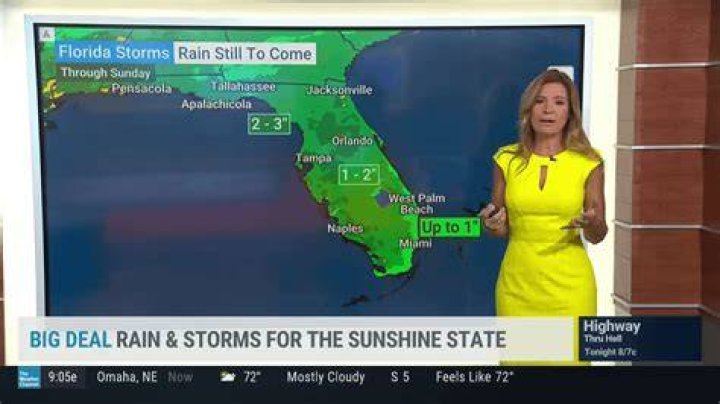 Where Is Weather Channel Jen Carfagno Today, Is She Ill?