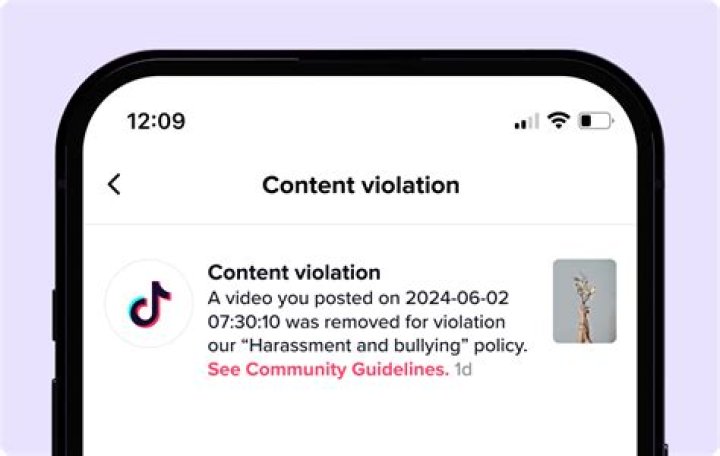 Who Are The Ride Along Crew? TikTok Content Violation Tour Drama