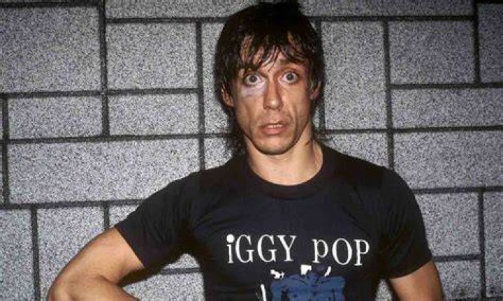 Who is Iggy Pop? See Net-worth, Quote, Awards, Fact, Wiki