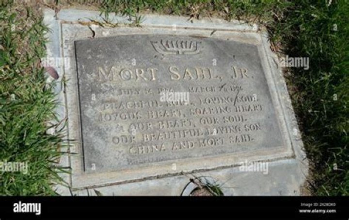 Who Was Mort Sahl Jr.? Everything To Know Mort Sahl’s Son And His Death Cause